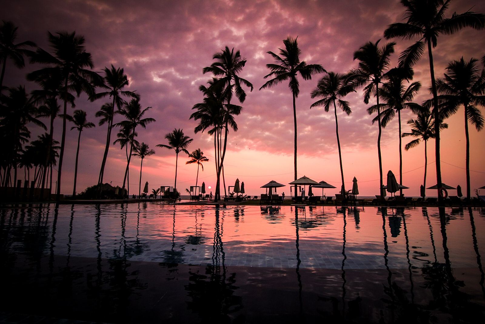 Pohon kelapa dan kolam di tepi pantai saat senja